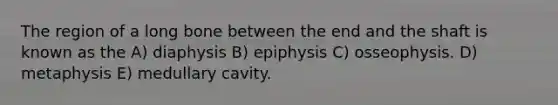 The region of a long bone between the end and the shaft is known as the A) diaphysis B) epiphysis C) osseophysis. D) metaphysis E) medullary cavity.