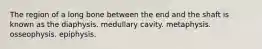 The region of a long bone between the end and the shaft is known as the diaphysis. medullary cavity. metaphysis. osseophysis. epiphysis.