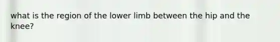 what is the region of the lower limb between the hip and the knee?