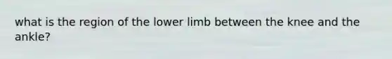 what is the region of the lower limb between the knee and the ankle?