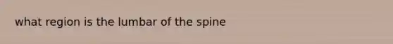 what region is the lumbar of the spine