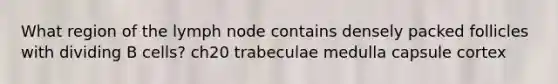 What region of the lymph node contains densely packed follicles with dividing B cells? ch20 trabeculae medulla capsule cortex