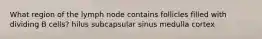 What region of the lymph node contains follicles filled with dividing B cells? hilus subcapsular sinus medulla cortex