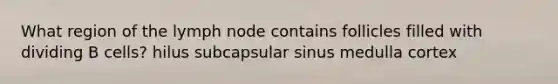 What region of the lymph node contains follicles filled with dividing B cells? hilus subcapsular sinus medulla cortex