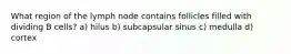 What region of the lymph node contains follicles filled with dividing B cells? a) hilus b) subcapsular sinus c) medulla d) cortex
