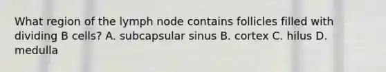 What region of the lymph node contains follicles filled with dividing B cells? A. subcapsular sinus B. cortex C. hilus D. medulla