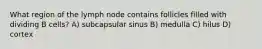 What region of the lymph node contains follicles filled with dividing B cells? A) subcapsular sinus B) medulla C) hilus D) cortex
