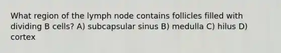 What region of the lymph node contains follicles filled with dividing B cells? A) subcapsular sinus B) medulla C) hilus D) cortex