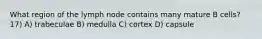 What region of the lymph node contains many mature B cells? 17) A) trabeculae B) medulla C) cortex D) capsule