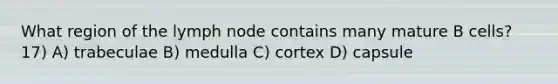 What region of the lymph node contains many mature B cells? 17) A) trabeculae B) medulla C) cortex D) capsule