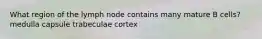 What region of the lymph node contains many mature B cells? medulla capsule trabeculae cortex