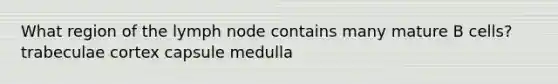 What region of the lymph node contains many mature B cells? trabeculae cortex capsule medulla