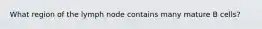 What region of the lymph node contains many mature B cells?