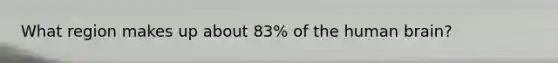 What region makes up about 83% of the human brain?