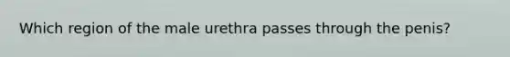 Which region of the male urethra passes through the penis?