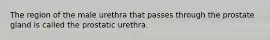 The region of the male urethra that passes through the prostate gland is called the prostatic urethra.