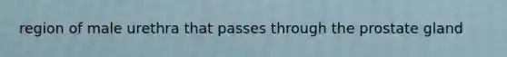 region of male urethra that passes through the prostate gland