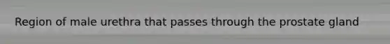 Region of male urethra that passes through the prostate gland