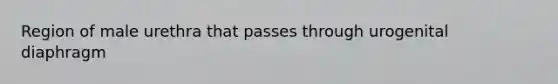 Region of male urethra that passes through urogenital diaphragm