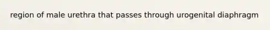 region of male urethra that passes through urogenital diaphragm