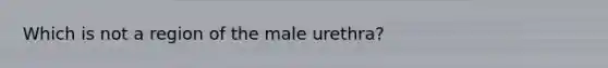 Which is not a region of the male urethra?