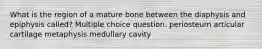 What is the region of a mature bone between the diaphysis and epiphysis called? Multiple choice question. periosteum articular cartilage metaphysis medullary cavity