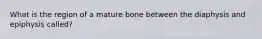 What is the region of a mature bone between the diaphysis and epiphysis called?