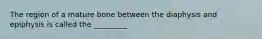 The region of a mature bone between the diaphysis and epiphysis is called the _________