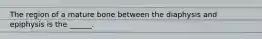 The region of a mature bone between the diaphysis and epiphysis is the ______.
