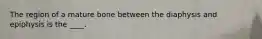 The region of a mature bone between the diaphysis and epiphysis is the ____.
