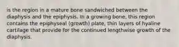 is the region in a mature bone sandwiched between the diaphysis and the epiphysis. In a growing bone, this region contains the epiphyseal (growth) plate, thin layers of hyaline cartilage that provide for the continued lengthwise growth of the diaphysis.