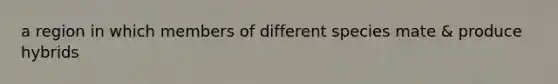 a region in which members of different species mate & produce hybrids