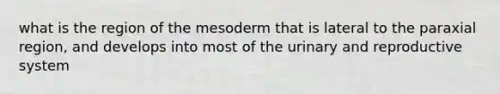 what is the region of the mesoderm that is lateral to the paraxial region, and develops into most of the urinary and reproductive system