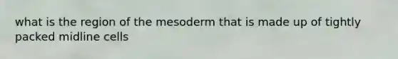 what is the region of the mesoderm that is made up of tightly packed midline cells