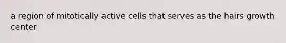 a region of mitotically active cells that serves as the hairs growth center