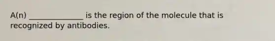 A(n) ______________ is the region of the molecule that is recognized by antibodies.