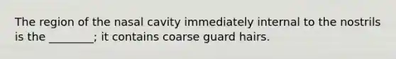 The region of the nasal cavity immediately internal to the nostrils is the ________; it contains coarse guard hairs.