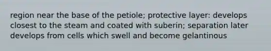 region near the base of the petiole; protective layer: develops closest to the steam and coated with suberin; separation later develops from cells which swell and become gelantinous