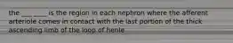 the ___ ____ is the region in each nephron where the afferent arteriole comes in contact with the last portion of the thick ascending limb of the loop of henle