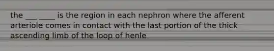 the ___ ____ is the region in each nephron where the afferent arteriole comes in contact with the last portion of the thick ascending limb of the loop of henle