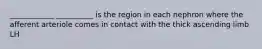 ____________ __________ is the region in each nephron where the afferent arteriole comes in contact with the thick ascending limb LH