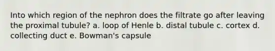 Into which region of the nephron does the filtrate go after leaving the proximal tubule? a. loop of Henle b. distal tubule c. cortex d. collecting duct e. Bowman's capsule