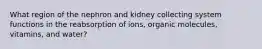 What region of the nephron and kidney collecting system functions in the reabsorption of ions, organic molecules, vitamins, and water?