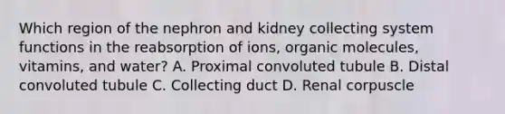 Which region of the nephron and kidney collecting system functions in the reabsorption of ions, organic molecules, vitamins, and water? A. Proximal convoluted tubule B. Distal convoluted tubule C. Collecting duct D. Renal corpuscle