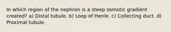 In which region of the nephron is a steep osmotic gradient created? a) Distal tubule. b) Loop of Henle. c) Collecting duct. d) Proximal tubule.