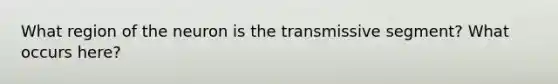 What region of the neuron is the transmissive segment? What occurs here?