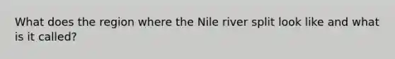 What does the region where the Nile river split look like and what is it called?