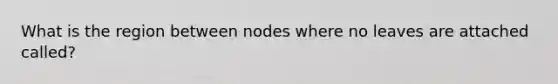 What is the region between nodes where no leaves are attached called?