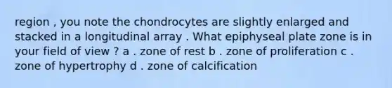 region , you note the chondrocytes are slightly enlarged and stacked in a longitudinal array . What epiphyseal plate zone is in your field of view ? a . zone of rest b . zone of proliferation c . zone of hypertrophy d . zone of calcification