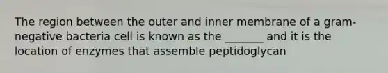 The region between the outer and inner membrane of a gram-negative bacteria cell is known as the _______ and it is the location of enzymes that assemble peptidoglycan